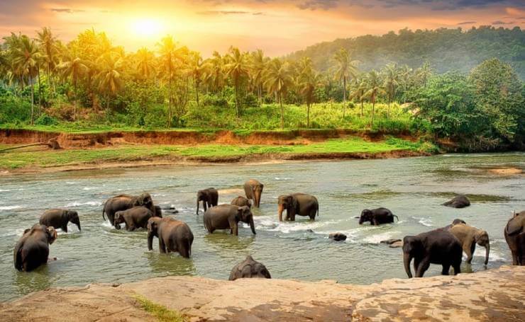 Andaman 4